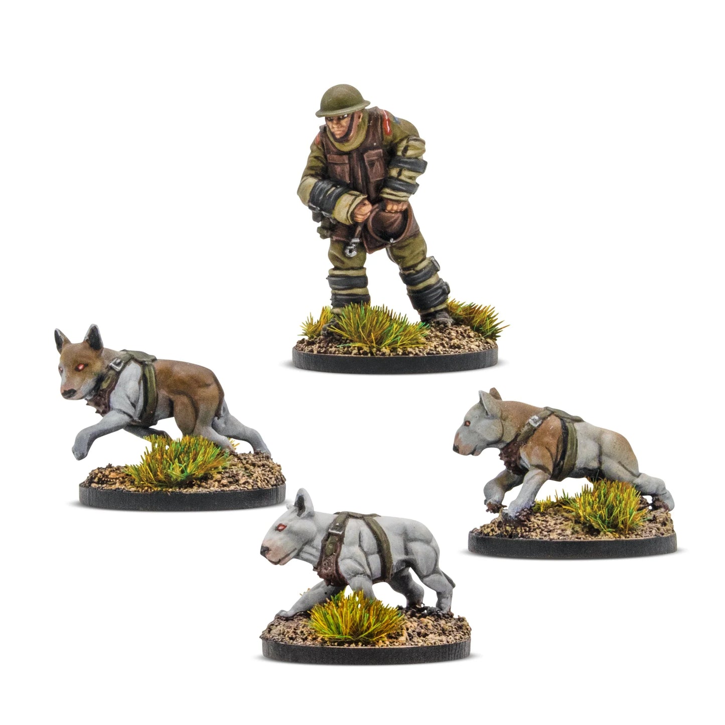 Konflikt '47 Cerberus Squad
